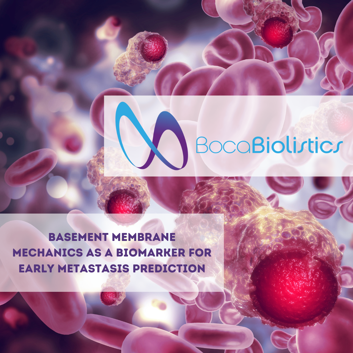 Basement Membrane Mechanics as a Biomarker for Early Metastasis Prediction