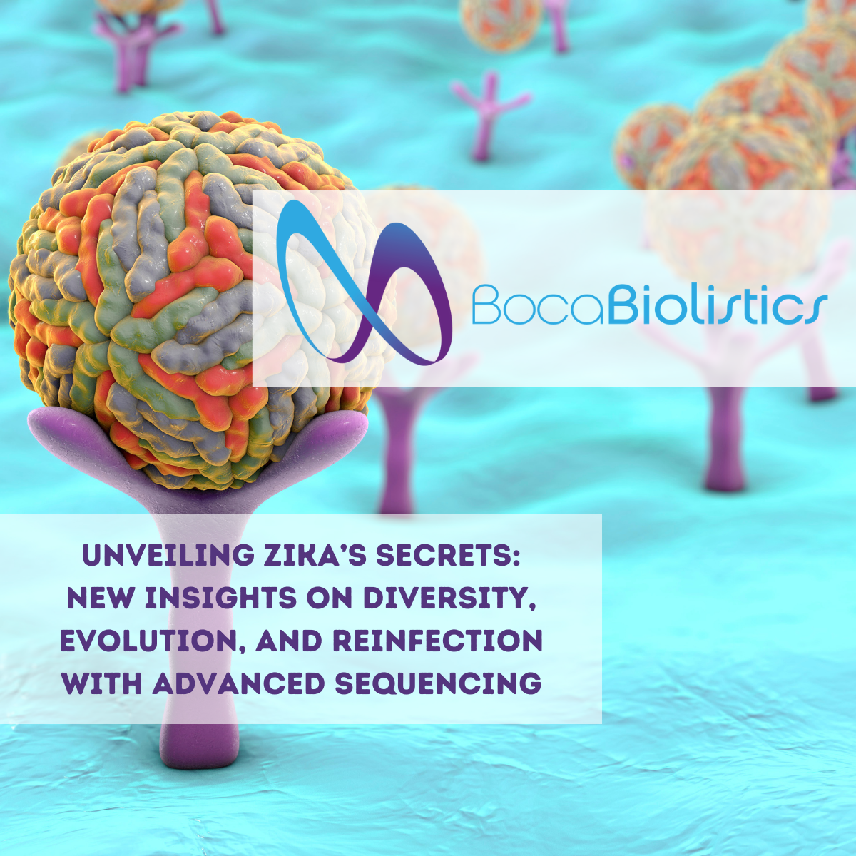 Unveiling ZIKA's Secrets: New Insights on Diversity, Evolution, and Reinfection